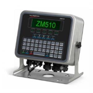 Avery 埃弗里可编程数字仪表ZM510