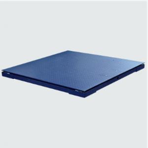 美克思SCS非标定制电子平台秤